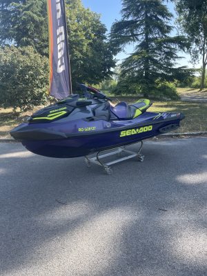 2021 RXT 300